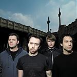 rise against