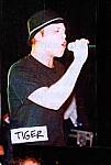black tiger