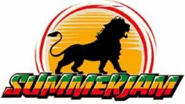 F�hlinger See Regattainsel